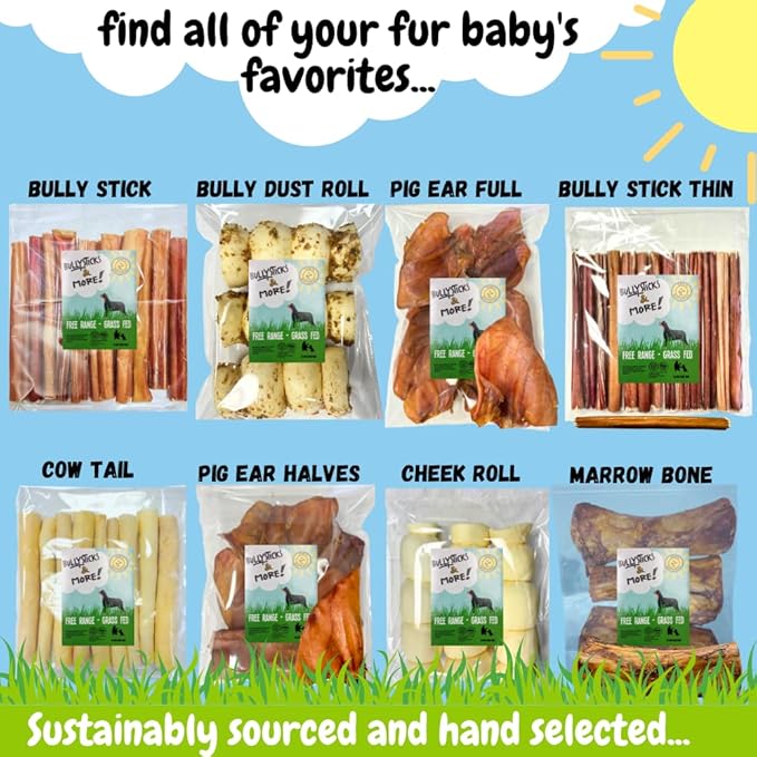 BULLYSTICKS & MORE 6 Inch Beef Trachea (6 Pack) | 100% Grass Fed | Long Lasting Dog Chews | Parents Choice Treats