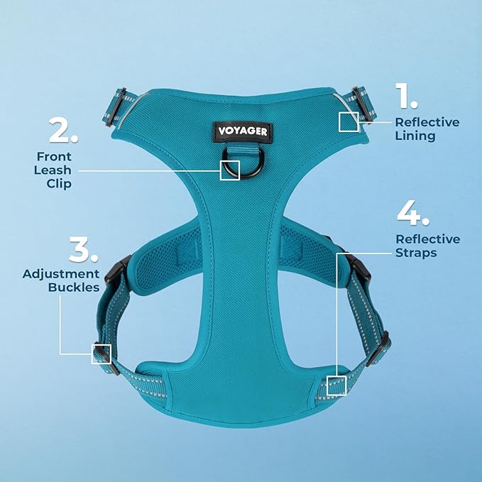 Voyager Dog Harness Dual Leash Attachment No-Pull Control Adjustable Soft but Strong Pet Harness for Medium and Large Dogs with 3M Reflective Technology, Turquoise Nylon, XS (Chest: 13-16")