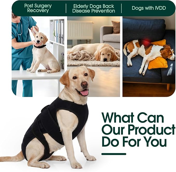 Dog Back Brace for IVDD & Spinal Recovery, Adjustable Breathable Support Vest Dog Lumbar Protector Helps Pain Relief, Pet Surgical Suit for Back Disease Prevention, Black S