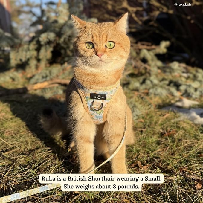 Lucy & Co. Sunshine and Daffodils Step-in Cat Harness and Leash Set Bundle, Escape Resistant Comfort Fit, Medium