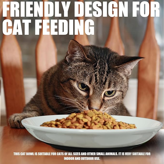 3-Pack Ceramic Cat Food Bowls, Wide Shallow Dish & Anti-Whisker Fatigue, Nonslip Silicone Base for Indoor Cats & Kittens, for Wet/Dry Food & Water