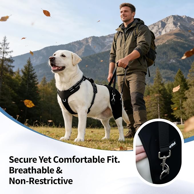 Dog Hip Brace for Hip Dysplasia & Arthritis - Adjustable Support Wrap with Removable Pads, Lifting Handle & Stabilizing Straps for Large Medium Dogs - Relief for Pain, Weakness & Lameness(L)