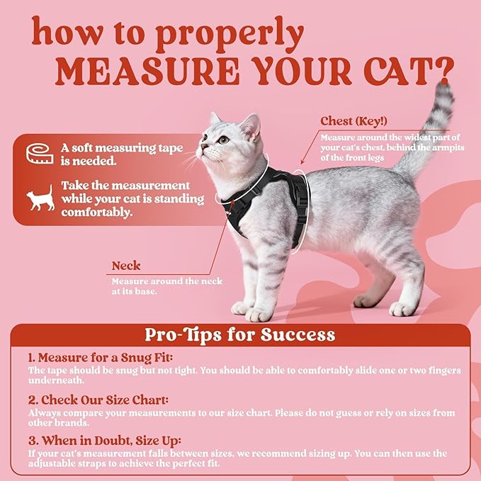 rabbitgoo Cat Harness and Leash for Walking, Escape Proof Soft Adjustable Vest Harnesses for Cats, Easy Control Breathable Reflective Strips Jacket, Black, S