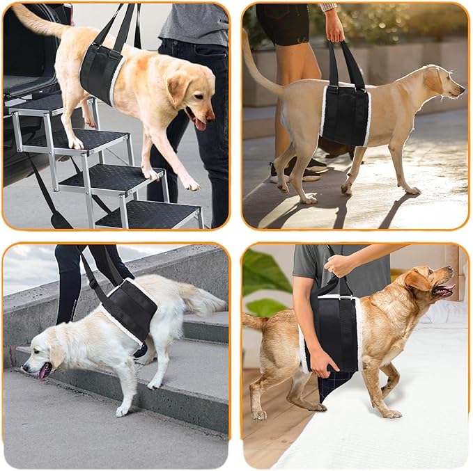 Adjustable Dog Lift Harness – Rear Leg Support Sling for Extra-Large Dogs | Mobility Aid for Senior, Injured & Post-Surgery Pets, ACL Surgery Dogs | Soft, Durable & Comfortable
