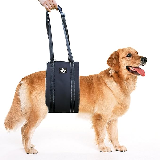 Doggie Stylz Portable dog lift harness 4-150 lbs. Dog Sling for Back Legs, Hip Support Harness Helps Lift for Rehab, Weak Rear Legs, Hind Leg Support, Senior, Injured, Disabled, After Surgery (Medium)