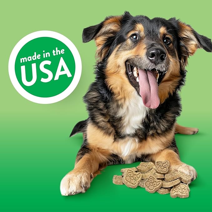 Spunky pup Every Day Biscuit Dog Treats - All-Natural, Handmade in USA, Perfect for Training or Snacking, 4 lb Resealable Bucket- Bucket of Biscuits- Apple Fritter Flavor