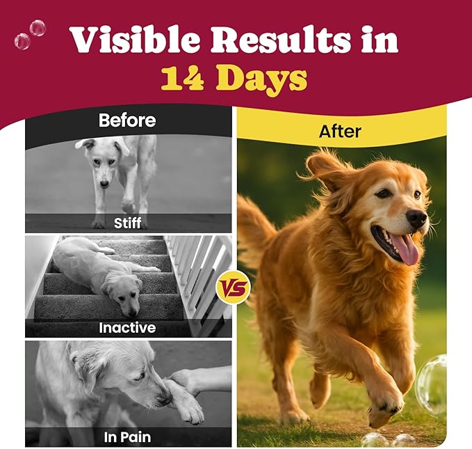 Glucosamine for Dogs - Hip and Joint Supplement Chews for Senior & Large Breed, Joint Supplement for Dogs with Chondroitin, Wuffe Joint Chews for Pain Relief - 60-Day Satisfaction Guarantee - 180 Ct