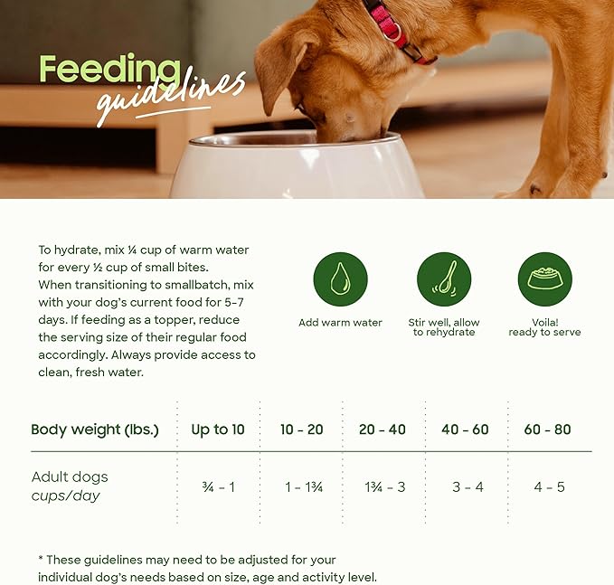 smallbatch Pets Freeze-Dried Raw Dog Food – Duck Recipe – 19oz Small Bites – High Protein, Grain Free – Complete Meal or Topper – Made in USA with Organic Superfoods 19 Oz, Duck