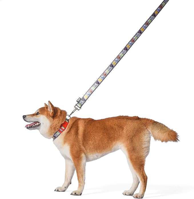 Star Wars for Pets All Star Characters Dog Leash - Cute Dog Lead Easily Attaches to Any Collar or Harness - Officially Licensed Pet Walking Leash, 4 Foot (48 Inch)
