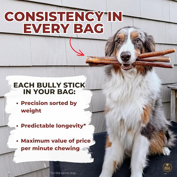 Bully Bunches Premium 6 Inch Standard Odor-Free Bully Sticks for Small to Medium Dogs & Puppies - Consistently Sized, Long Lasting Chews for Oral Care - All Natural, 100% Beef Dog Treats (5 Pack)