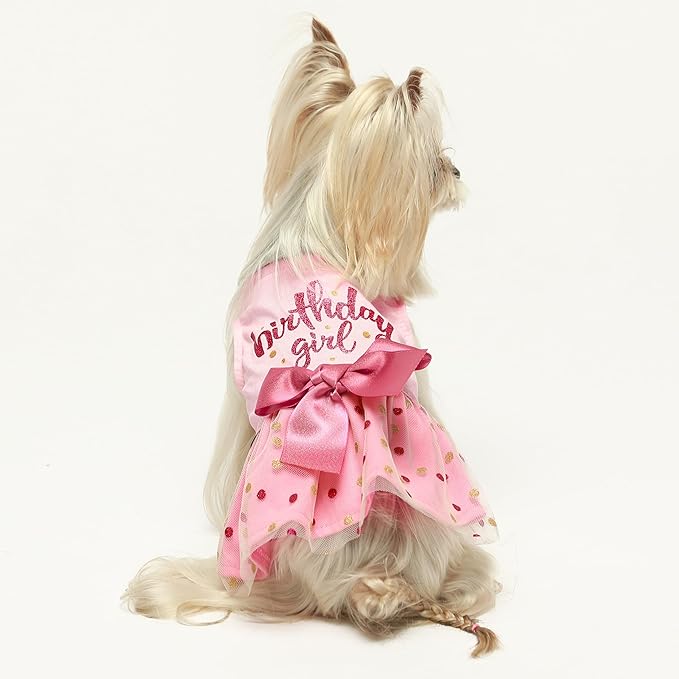 Fitwarm Birthday Girl Dog Tulle Dress, Dog Clothes for Small Dogs Girl, Cat Apparel, Pink, Medium