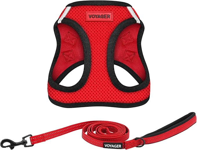 Voyager Step-in Air All Weather Mesh Harness and Reflective Dog 5 ft Leash Combo with Neoprene Handle, for Small, Medium and Large Breed Puppies by Best Pet Supplies - Red, Small