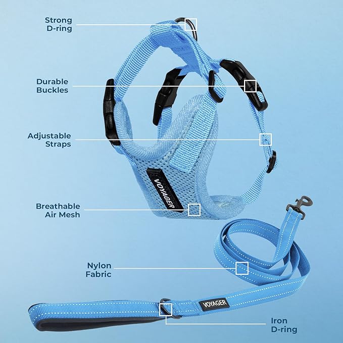 Best Pet Supplies Voyager Step-in Lock Pet Harness w Reflective Pet Leash Combo Set with Neoprene Handle 5ft - Supports Small, Medium and Large Breed Puppies/Cats - Baby Blue, XL