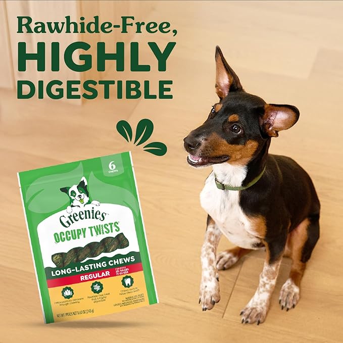 Greenies Occupy Twists Natural Dog Treats Regular Size Dog Chews Long Lasting Chicken Flavor, 17.2 oz. Pack, 12 Count