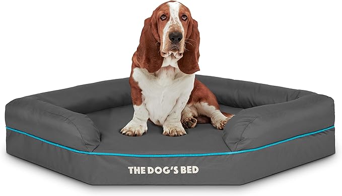 The Dog’s Bed Orthopedic Memory Foam Corner Dog Bed, Calming Surface – CertiPUR-Certified Foam, Oxford Fabric, Grey with Blue Trim, Large