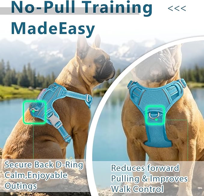 BARKBAY Dog Harness No Pull with ID Tag Pocket - Heavy Duty, Reflective, Easy Control for Large Dogs(Ocean Blue,L)
