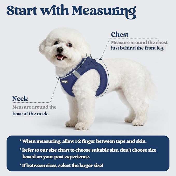rabbitgoo Dog Harness Small Sized and Leash Set, Step in Soft Light Puppy Vest, Breathable Mesh Pet Harness, Reflective for Outdoor Safe Walking, Navy Blue XXXS