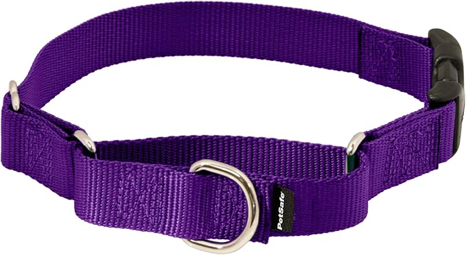 PetSafe Adjustable Martingale Collar - Improves Leash Manners - Escape Prevention - Gentle Behavior Training - Durable Nylon - Alternative to Choke Collar - Petite 3/8" - Deep Purple