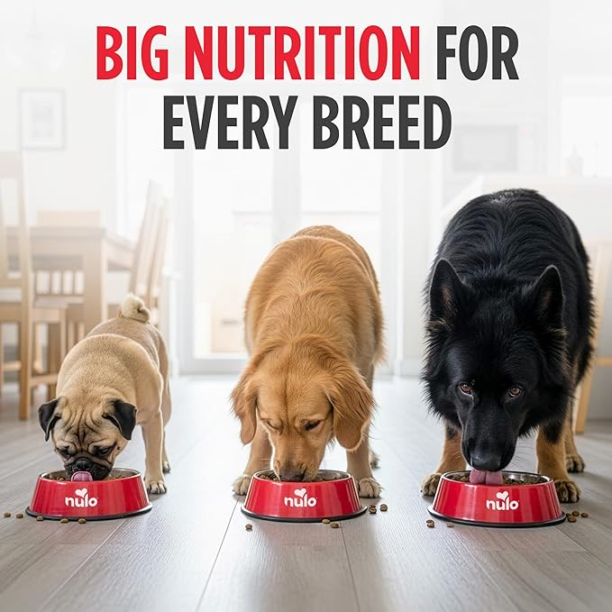 Nulo FreeStyle Adult Dry Dog Food - Salmon & Peas, Premium Grain Free Dog Food with Probiotics for Healthy Gut, Skin and Coat, Natural, High Protein Kibble for Small, Medium and Large Breeds, 26lb