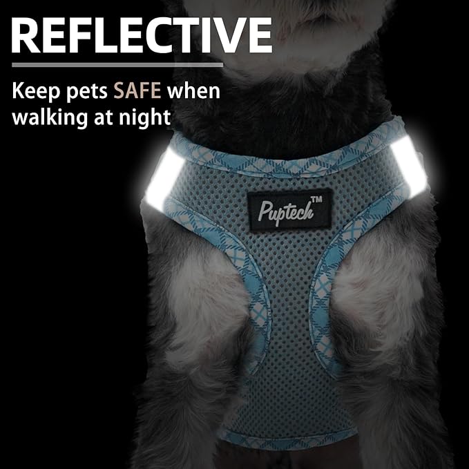 PUPTECK Dog Harness and Leash Set for Small Medium Dogs No Pull Step-in Soft Mesh Puppy Cat Vest Harnesses Reflective at Night, Sky Blue, S