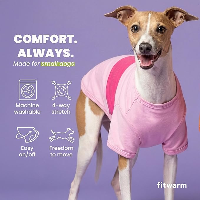 Fitwarm 3 Pack Color Block Striped Dog Shirt, Summer Dog Clothes for Small Dogs, Breathable Lightweight Dog Tshirt, Pet Outfit, Pink, Orange, Purple, XS