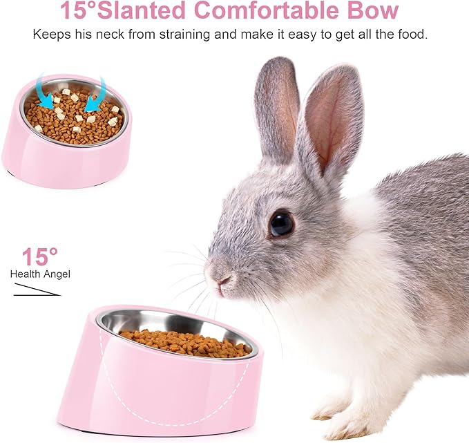 Tilted Dog Bowl Non-Slip & Non-Spill Pet Feeder with Elevated Detachable Melamine Stand, Easy to Get Food Dog Dish, S/100ml Pink