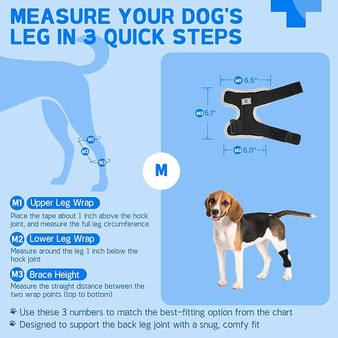 Dog Leg Brace Canine Rear Leg Support, Relieve Pain from Sprains, Arthritis, Enhancing Stability, Helps with Loss of Stability from Arthritis(Black,M)