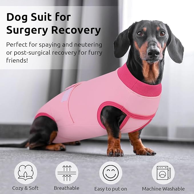 Queenmore Recovery Suit for Dogs, Dog Surgical Recovery Suit Onesie,Anti Licking Pet Female Spayed Neutered Puppy Surgical Clothes for Abdominal Wounds, Substitute E-Collar & Cone, Pink,L