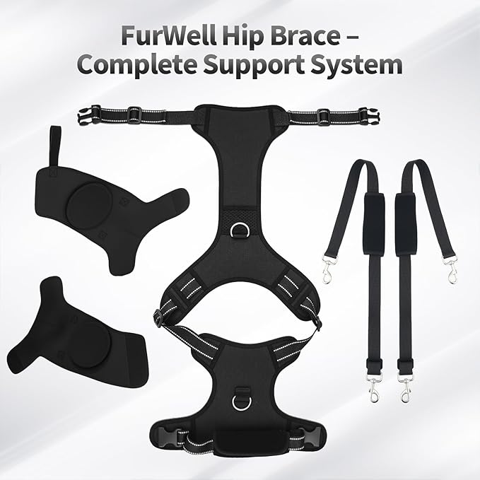 Dog Hip Brace for Hip Dysplasia & Arthritis - Adjustable Support Wrap with Removable Pads, Lifting Handle & Stabilizing Straps for Large Medium Dogs - Relief for Pain, Weakness & Lameness(XL)
