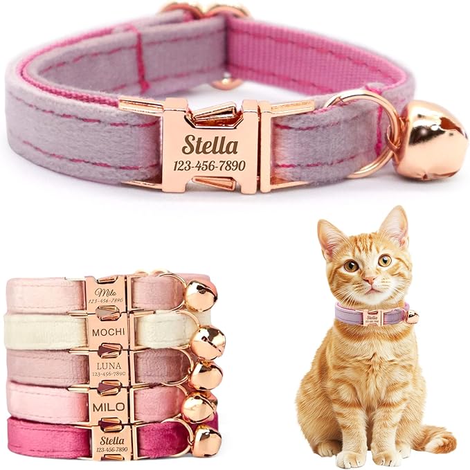 Personalized Non-Breakaway Cat Collar with Name, Luxury Soft Velvet Custom Engraved Name Collar with Bell for Kittens & Cats (Thistle, L (7.5-12.5 inches))