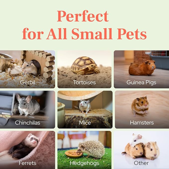 DoggieLawn Natural Grass Mat for Small Pets - Fresh Real Grass Bed - Indoor/Outdoor Lounging Pad for Hamsters, Guinea Pigs & Other Small Animals - Disposable, Natural (Grande)