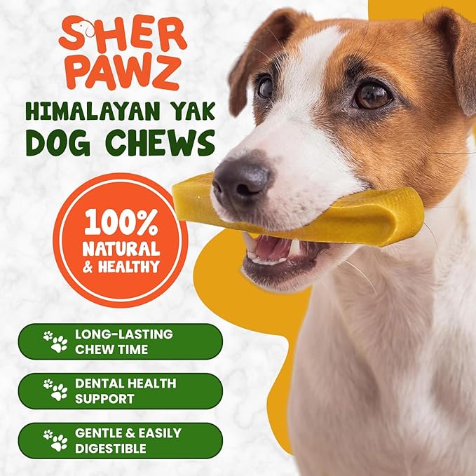 Natural Himalayan Yak Cheese Dog Chews - Medium (2.2-2.5 oz) 3-Pack | All-Natural, Rawhide-Free, Grain-Free Long-Lasting Healthy Dog Treat for Agressive Chewers