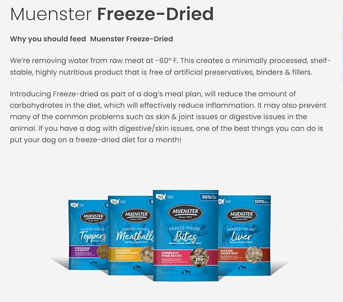 Muenster Freeze Dried Beef Meatball Dog Treats (4oz) - Grain Free, Made in USA