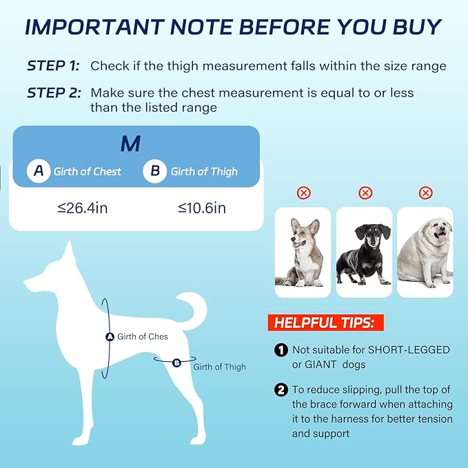 Dog Knee Brace for Torn ACL Hind Leg, Dog Leg Braces Helps with Torn CCL, Luxating Patella, Ligament Injuries, Hip Dysplasia, M