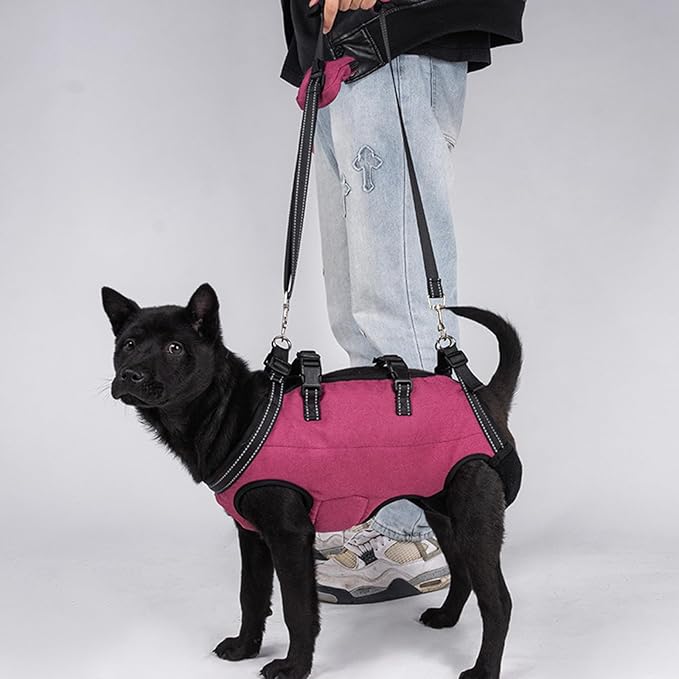 Full Body Dog Lift Harness with Ergonomic Designs for Elderly Dog with Shock Absorption and Adjustable Strap