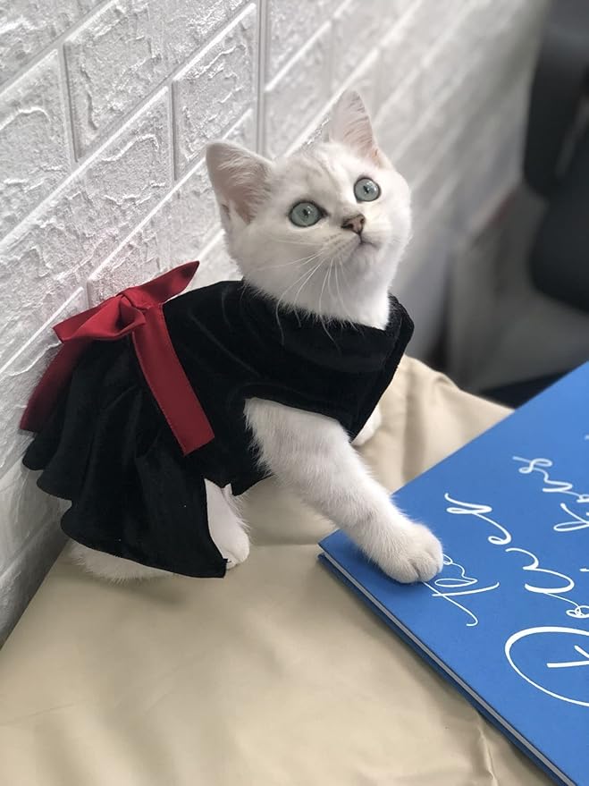 Pet Dresses for Small Dogs Cats Girl, Cute Princess Bowknot Dress Puppy Shirt All Weather Skirt Clothes Cat Apparel for Birthday Wedding Party Holiday (Small, Velvet Black)
