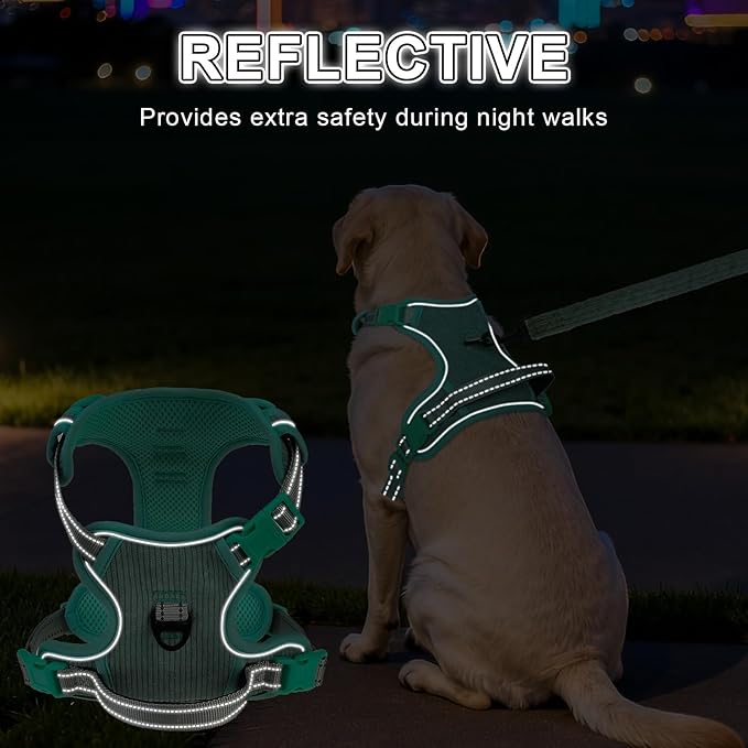 BEAUTYZOO No Pull Dog Harness, Adjustable Dog Harness and Leash Set -Easy Wearing with 3 Buckles/Control Handle,No Choke Soft Padded Reflective Pet Vest for Training Walking Hiking,Solid Aqua Blue L