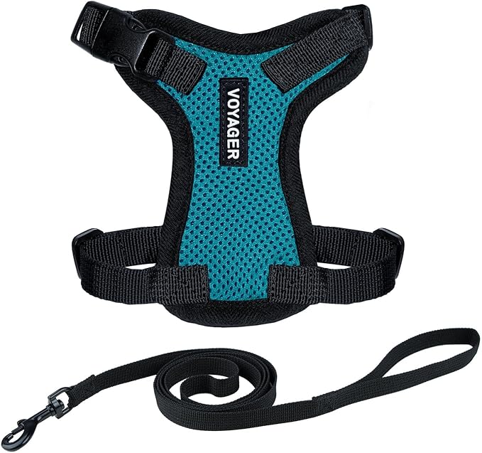 Voyager Escape-Proof Step-In Lock Cat Harness & 5ft Neoprene-Handle Leash Set All-Weather Mesh with Reflective Stitching For Small to Large Cats by Best Pet Supplies, Turquoise/Black Trim, S