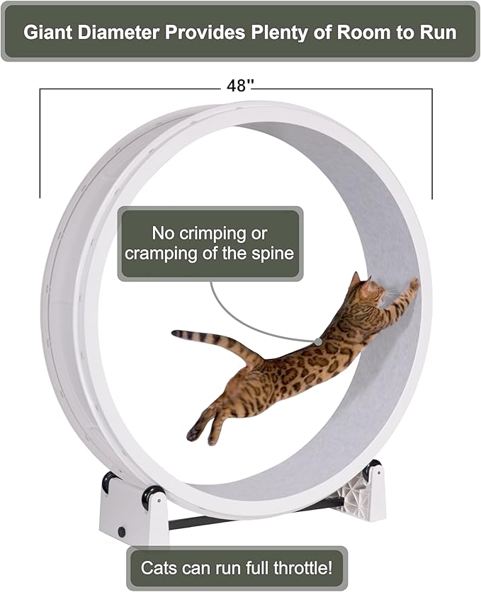 One Fast Cat - Cat Exercise Wheel - Gen. 7 - Safe 48" Diameter - Made in The USA - White Wheel with Gray Felt Traction Pads and Light-Up LED Inline Wheels