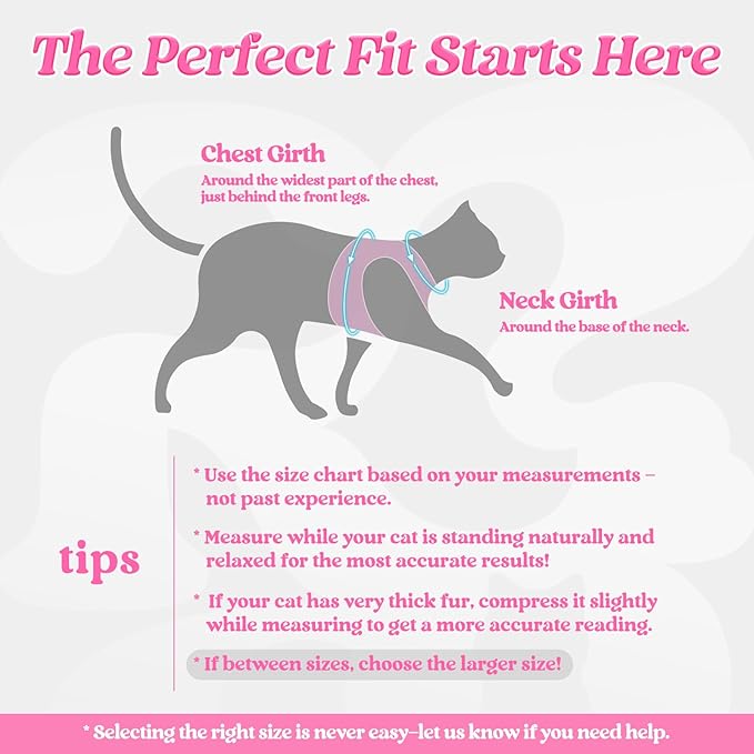 rabbitgoo Cat Harness and Leash Set for Walking Escape Proof, Adjustable Soft Kittens Vest with Reflective Strip for Cats, Comfortable Outdoor Vest, Black & Pink, L