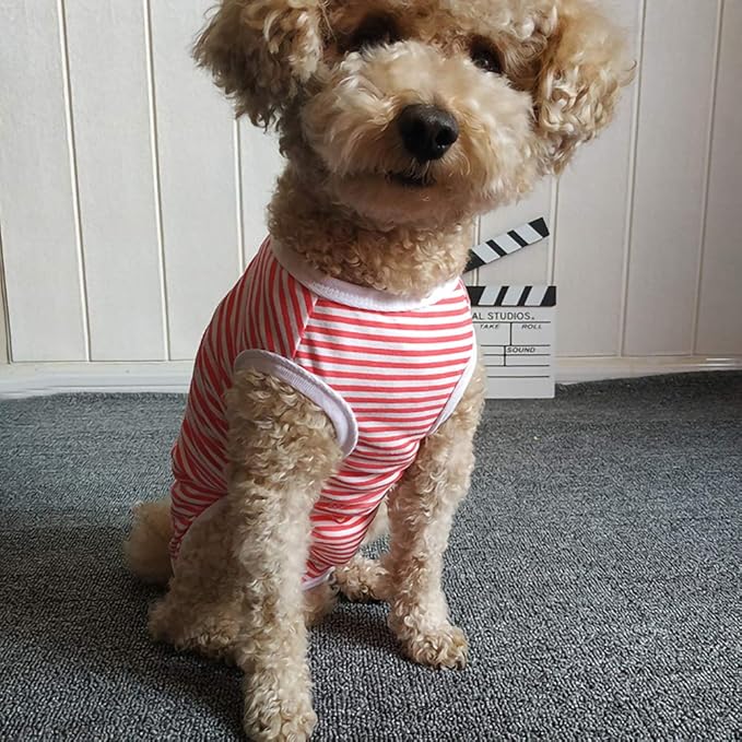 Dog’s Recovery Suit Post Surgery Shirt for Puppy, Wound Protective Clothes for Little Animals(red White Stripe-s)