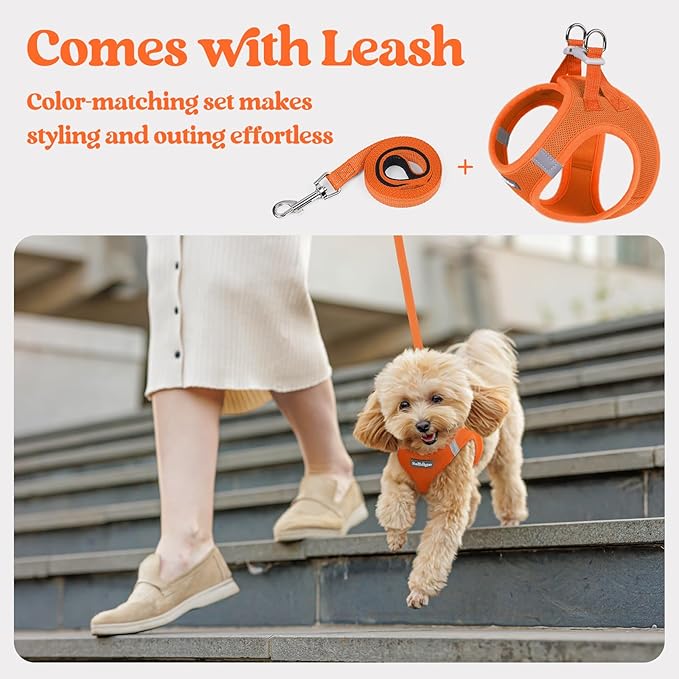 rabbitgoo Dog Harness Small Sized and Leash Set, Step in Soft Light Puppy Vest, Breathable Mesh Pet Harness, Reflective for Safe Easy Walking, Orange S