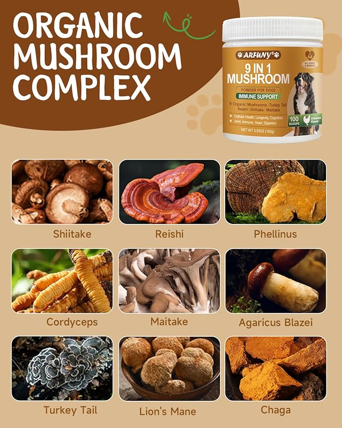 Mushroom for Dogs - Turkey Tail for Dogs - 9 Organic Mushroom Supplement with Turkey Tail, Reishi, Lions Mane - Hip & Joint, Skin & Coat, Digestive, Cellular, Immune Health Support - Chicken Flavor
