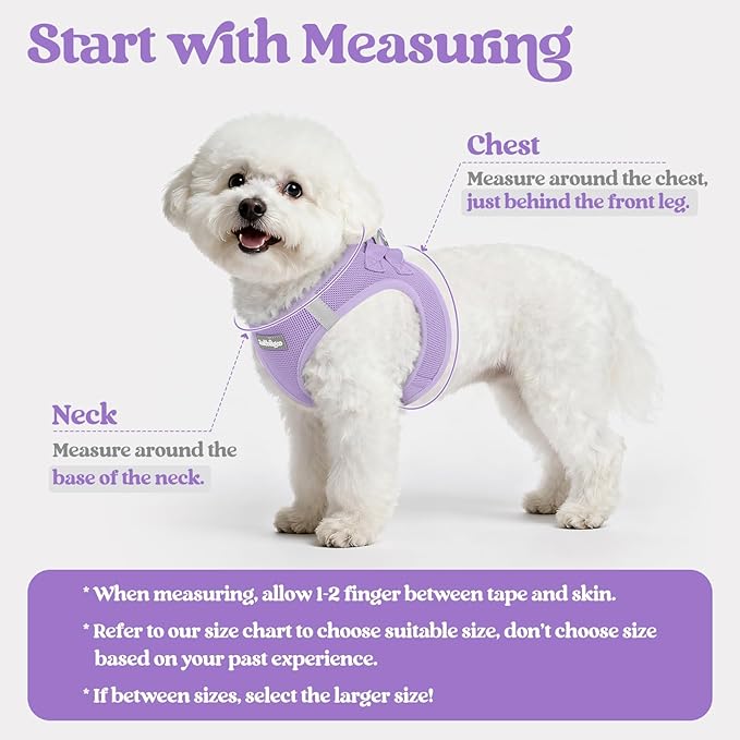 rabbitgoo Dog Harness Small Sized and Leash Set, Step in Soft Light Puppy Vest, Breathable Mesh Pet Harness, Reflective for Safe Easy Walking, Light Purple XXS