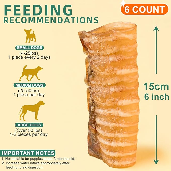 6 Inch Beef Trachea Dog Chews (6pcs - 8oz)-Trachea Dog Treats,Digestible and Safe Chews for Dogs - Natural High Protein for Medium & Large Dogs,Teeth Grinding & Cleaning, Supports Dental Health