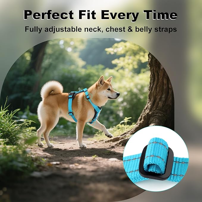 Plutus Pet Adjustable No Pull Dog Harness with Leather Accents, Heavy Duty Reflective Nylon Vest for Training, Hiking, Easy Walk Harness for Small, Medium, Large Dogs (Light Blue, L)