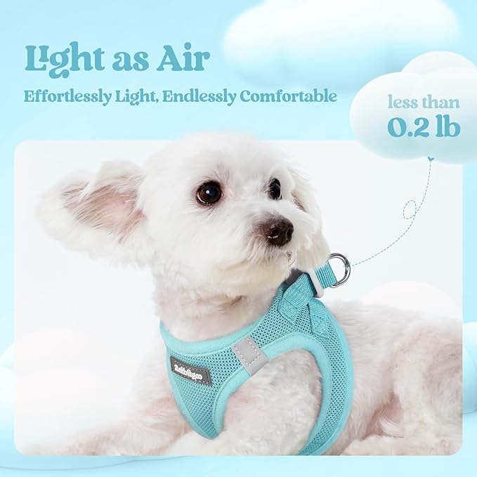 rabbitgoo Dog Harness Small Sized and Leash Set, Step in Soft Light Puppy Vest, Breathable Mesh Pet Harness, Reflective for Safe Easy Walking, Mint Blue XXXS