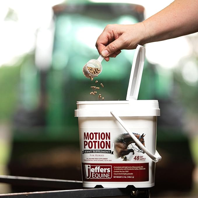 Jeffers Motion Potion Horse Joint Supplement Pellets – Glucosamine HCL, MSM, Chondroitin, Hyaluronic Acid, Vitamin C & E, Daily Equine Support for Senior & Active Horses – 3.1, lbs 160 Day Supply
