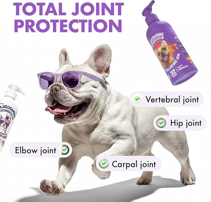 Liquid Glucosamine for Dogs with Chondroitin, MSM & Hyaluronic Acid – Bacon Flavor – Joint Support Supplement for Dogs – All Breeds – 32 oz