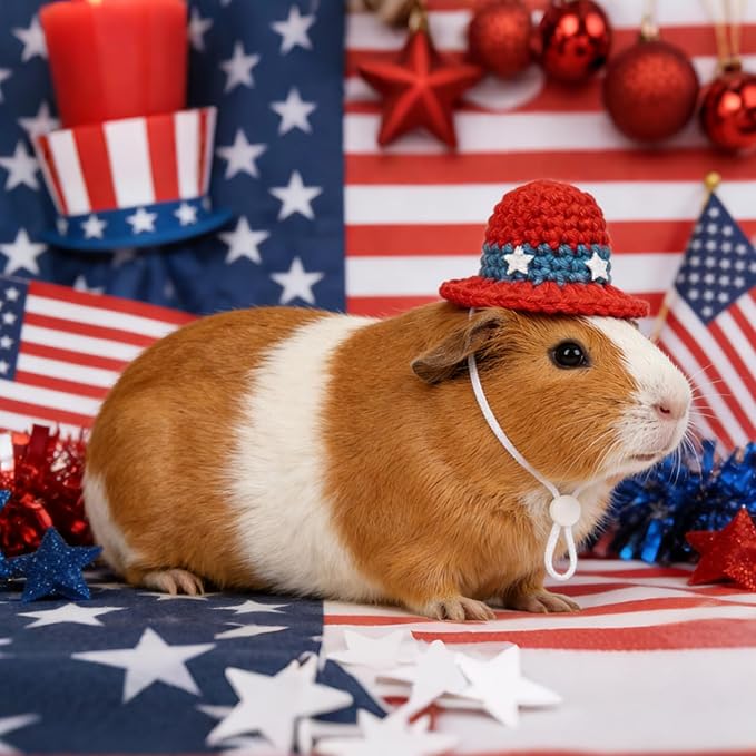 Hamster Hats Mini Party Hats for Small Animals, 12 Pcs Cute Hand Knitted Tiny Hats for Snakes Lizards Bearded Dragon Guinea Pig Bunny Reptile Pets Holiday Clothes Party Costume Accessories